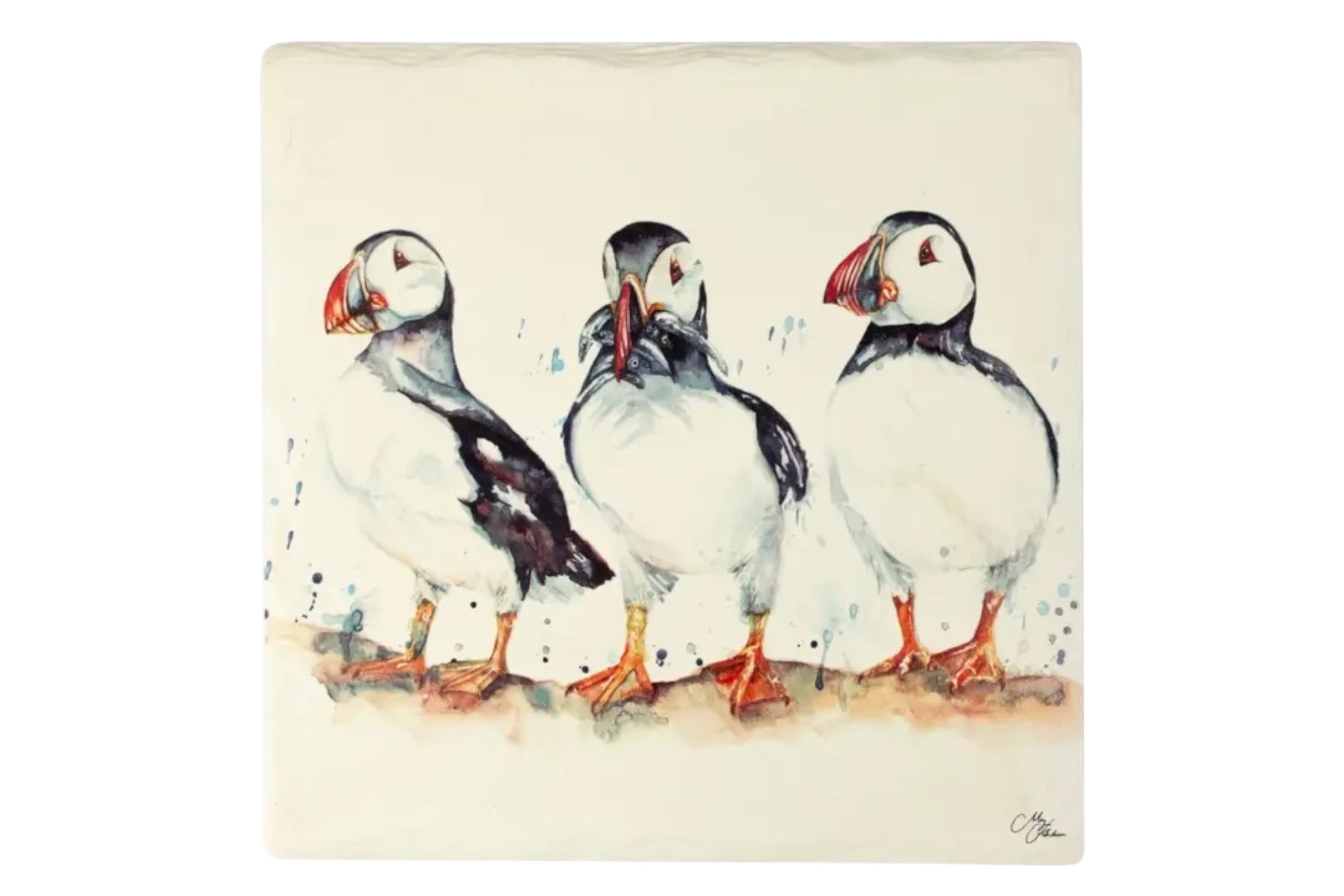 A 16 x 16cm ceramic trivet with a puffin illustration, set against. white background.