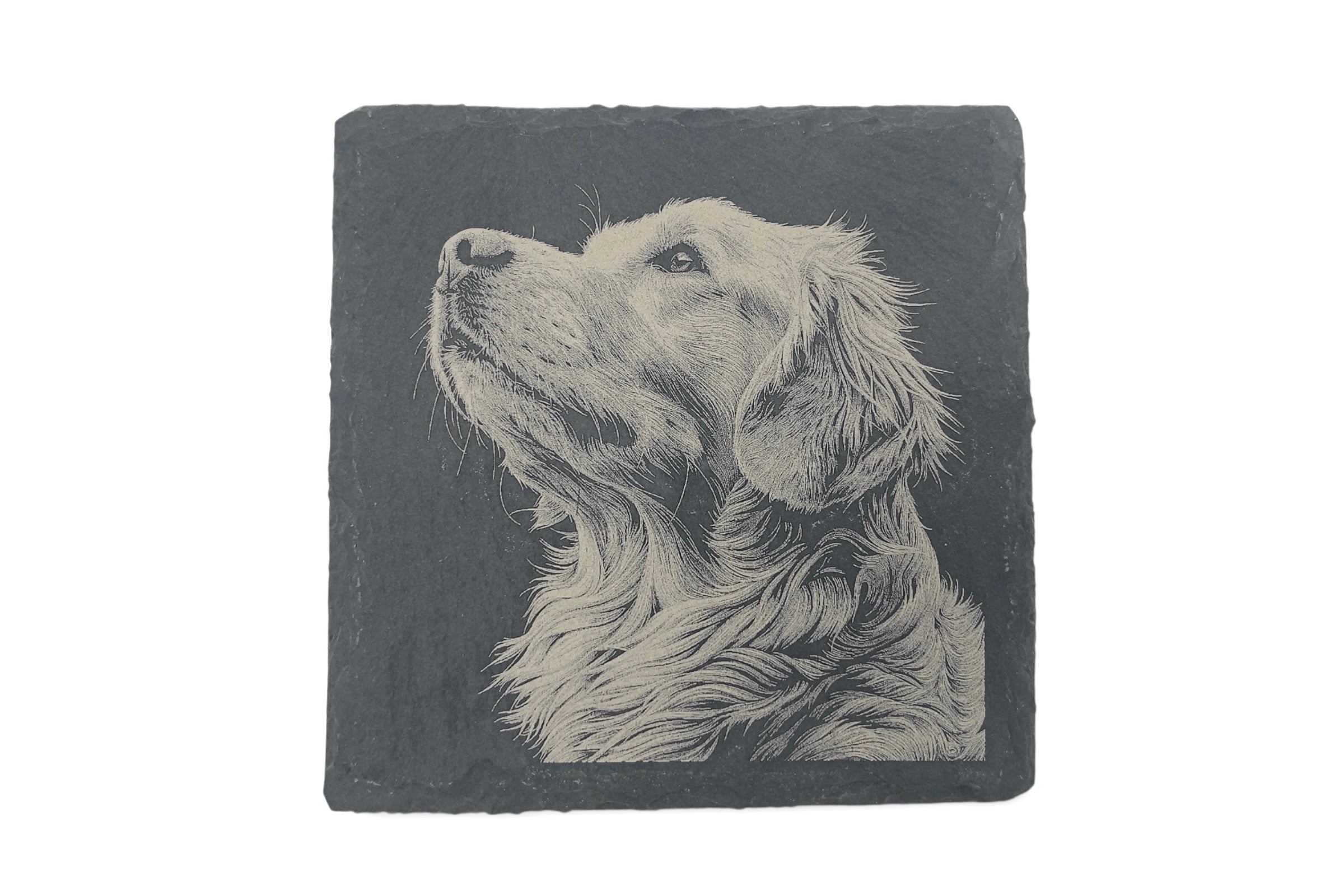 A slate coaster with the image of a labrador retriever laser etched into the surface, on a white background.