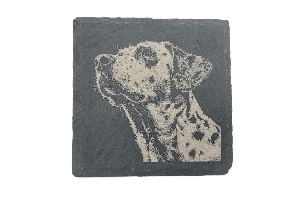 A slate coaster with the image of a Dalmation dog laser etched into the surface, on a white background.
