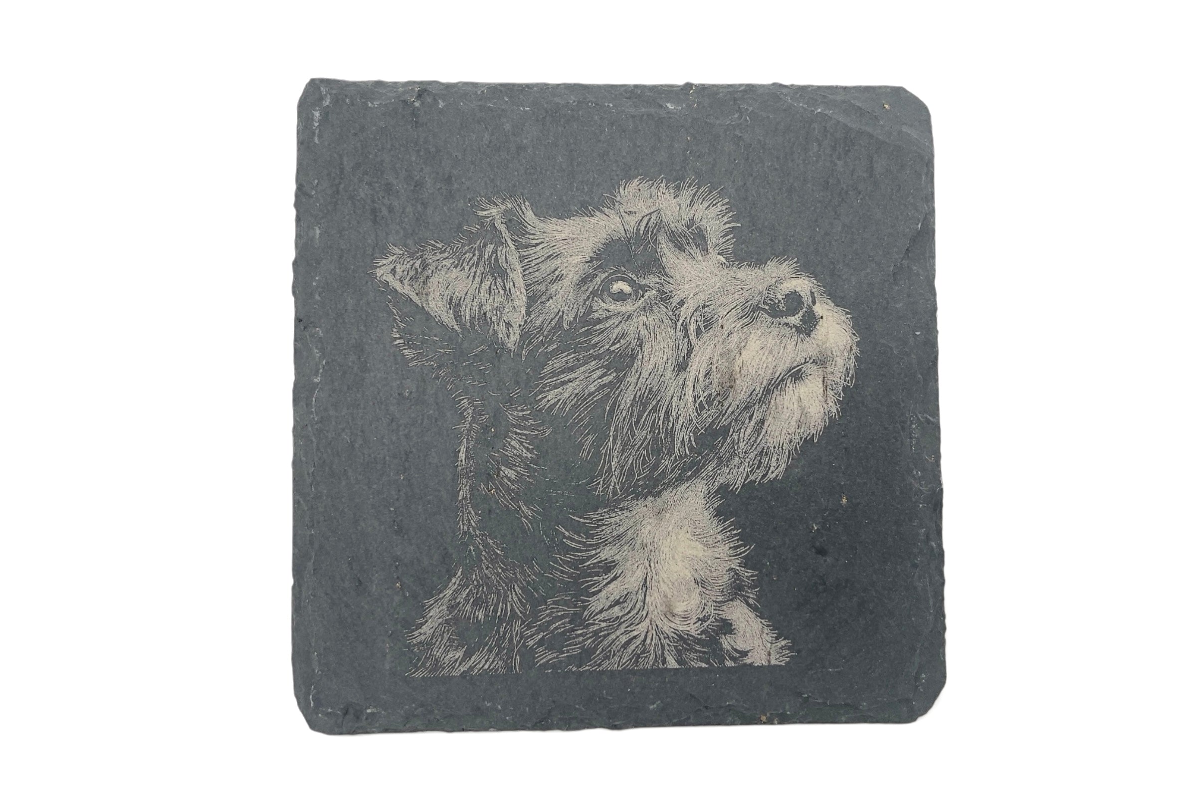 A slate coaster with the image of a terrier laser etched into the surface, on a white background.
