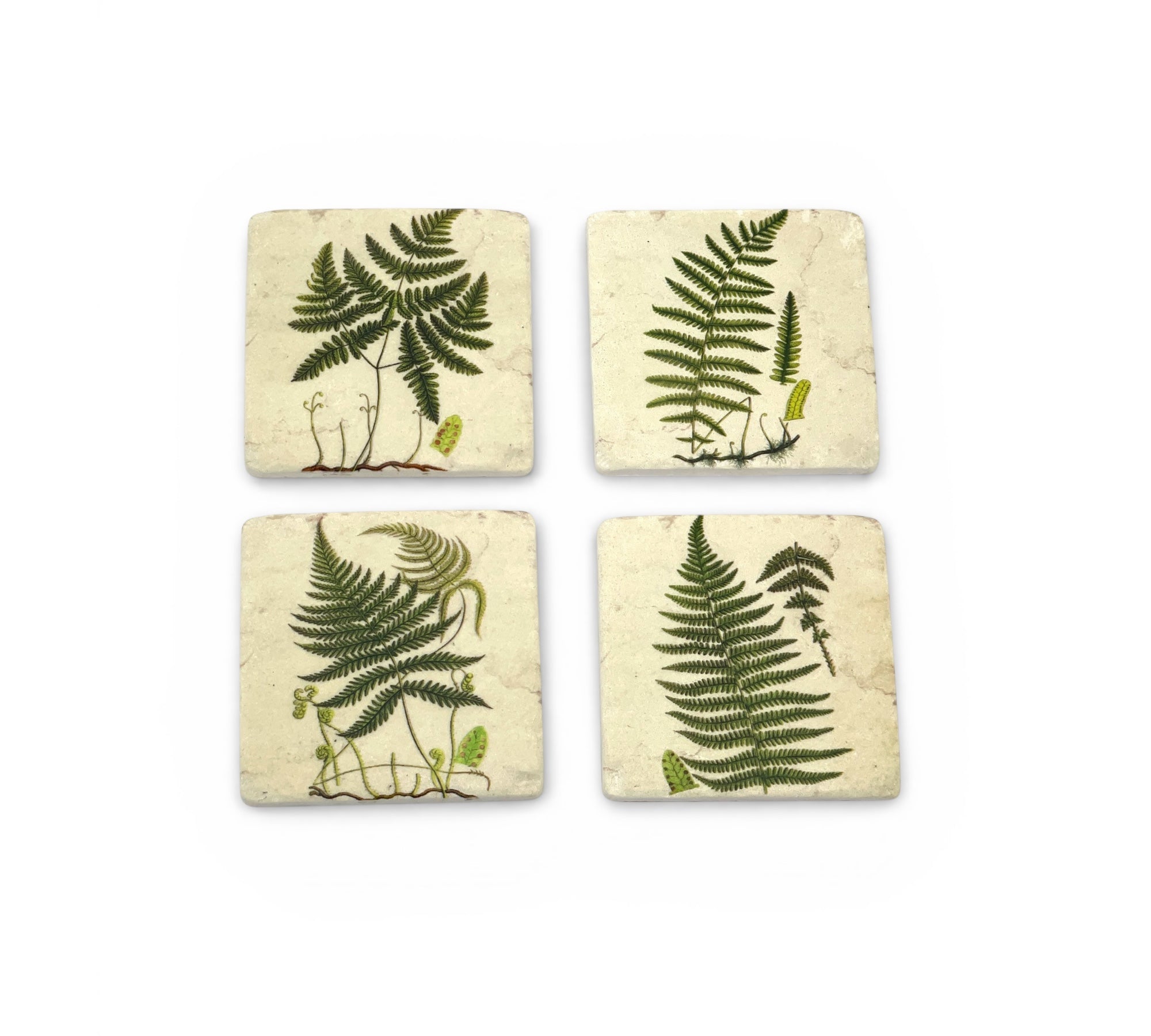 Four square coasters with fern designs on a white background