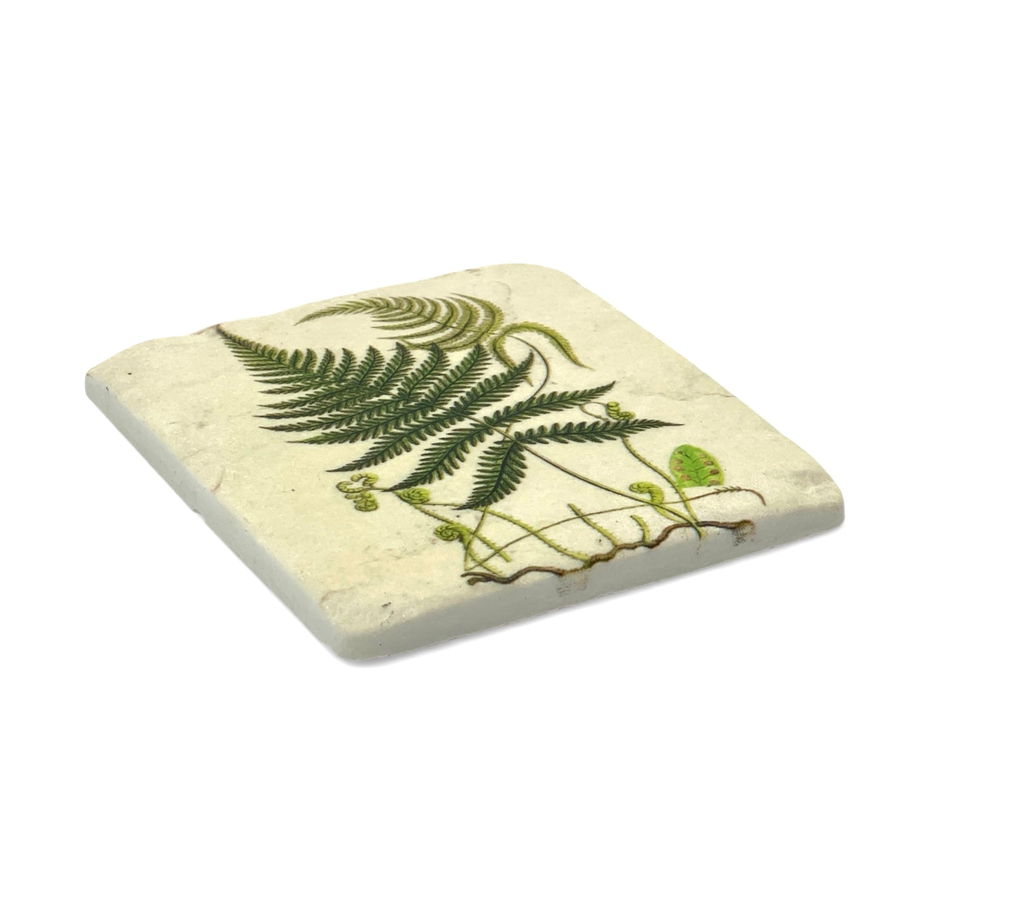 Square ceramic coaster with green fern design on a white background