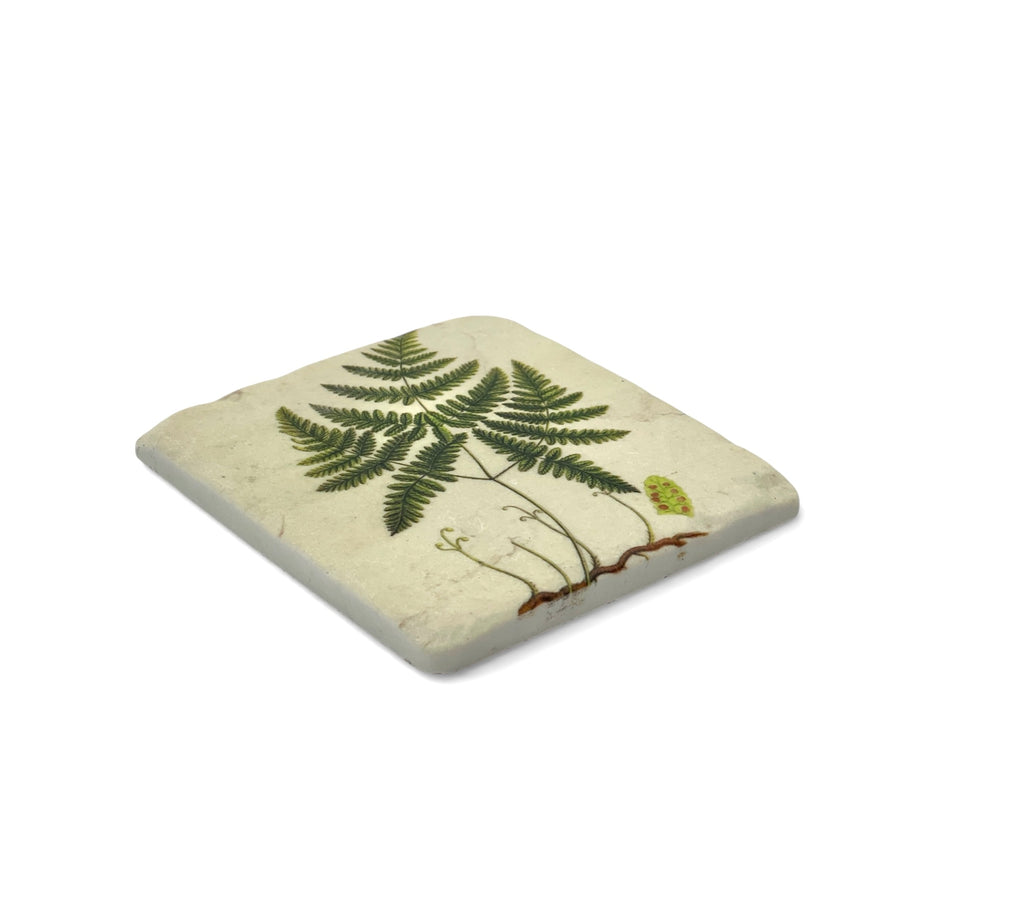 Square ceramic coaster with a fern design on a white background