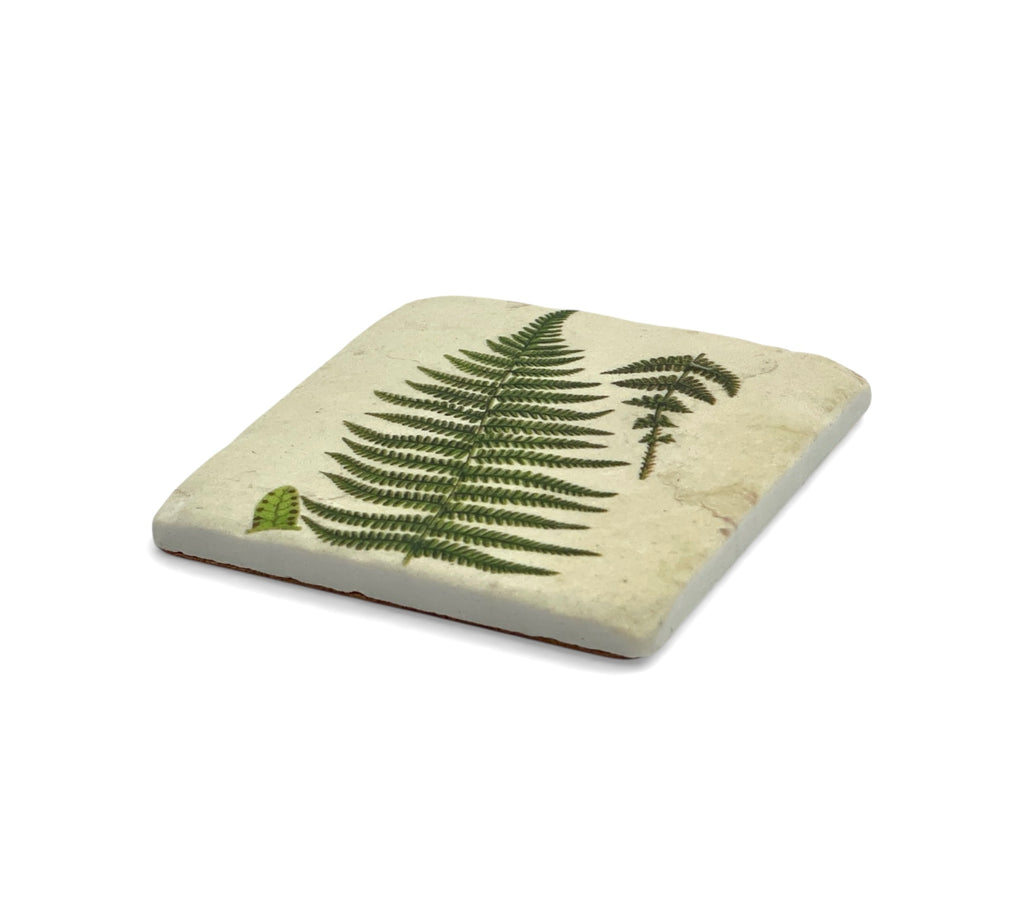 Square ceramic coaster with fern design on a white background