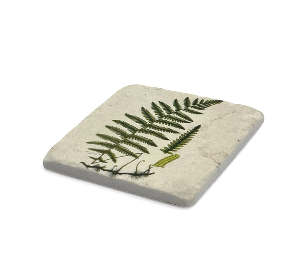 Square ceramic coaster with a fern design on a white background