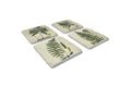 Set of four ceramic coasters with fern designs on a white background