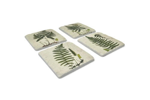 Set of four ceramic coasters with fern designs on a white background
